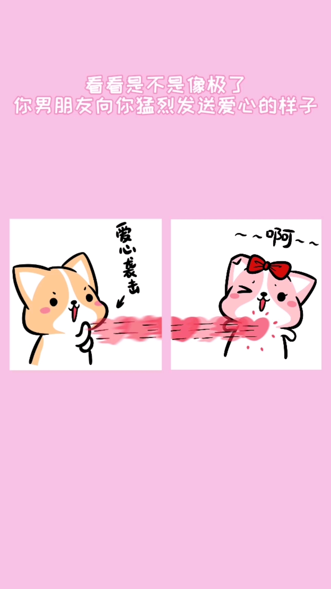 柯基咯叽,情侣表情包