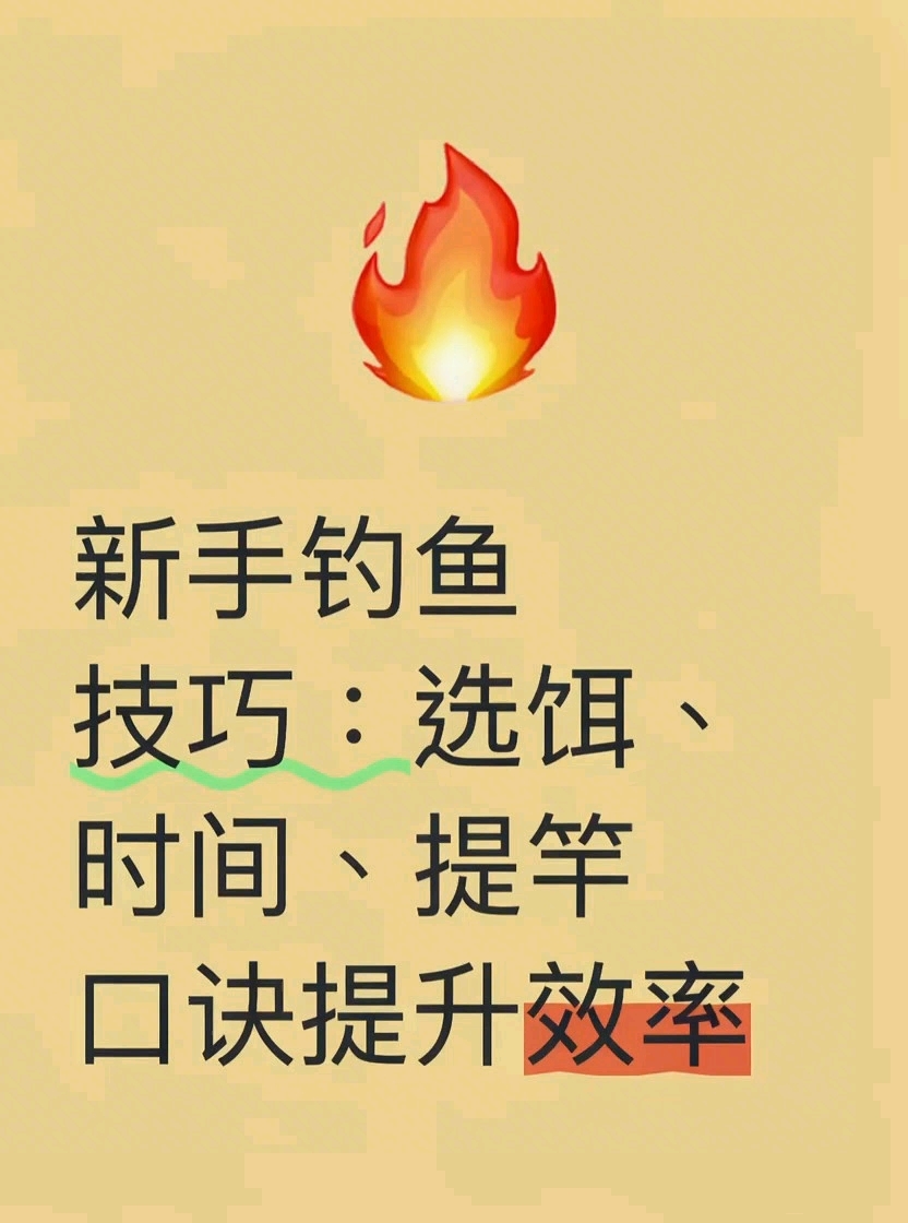 钓鱼小能手必备,新手钓鱼必知技巧