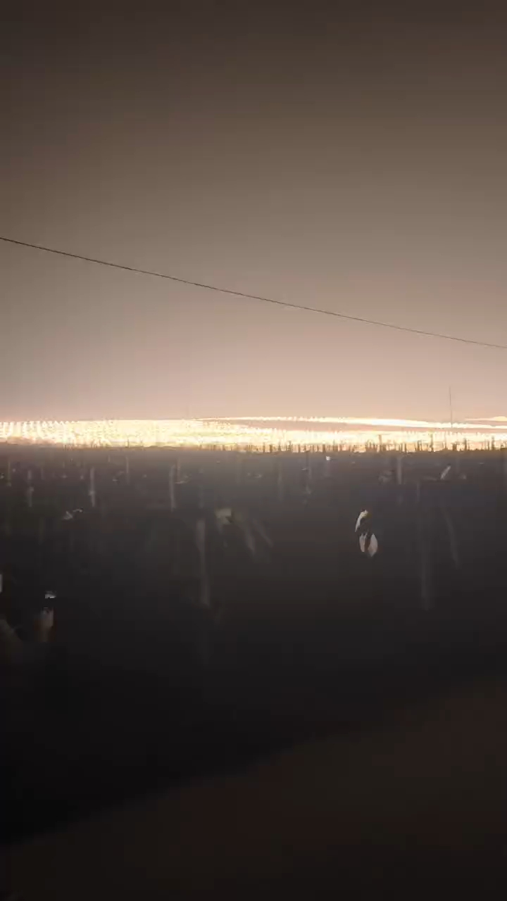 你见过广西火龙果种植基地的夜景吗?庞大的灯光秀