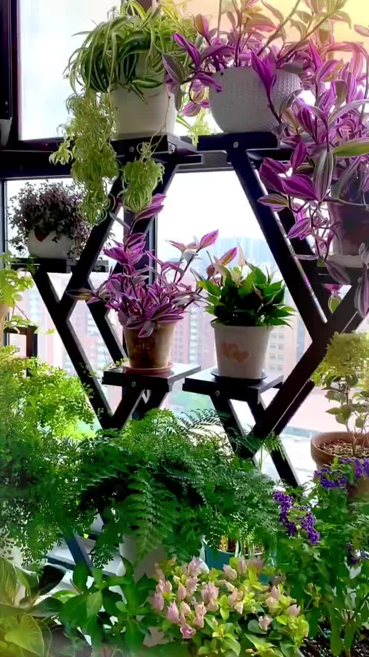 3平方阳台放了100多盆花「花架与整体布局」