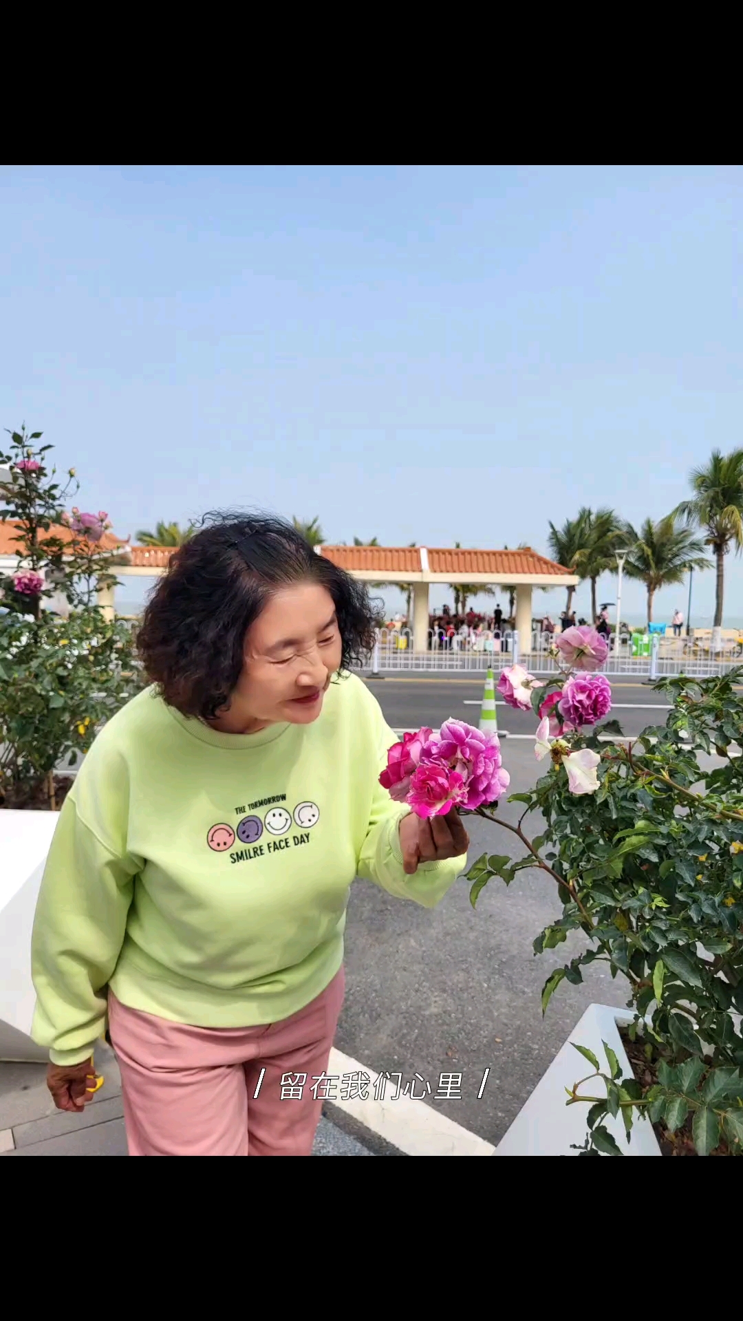 珠海城市阳台