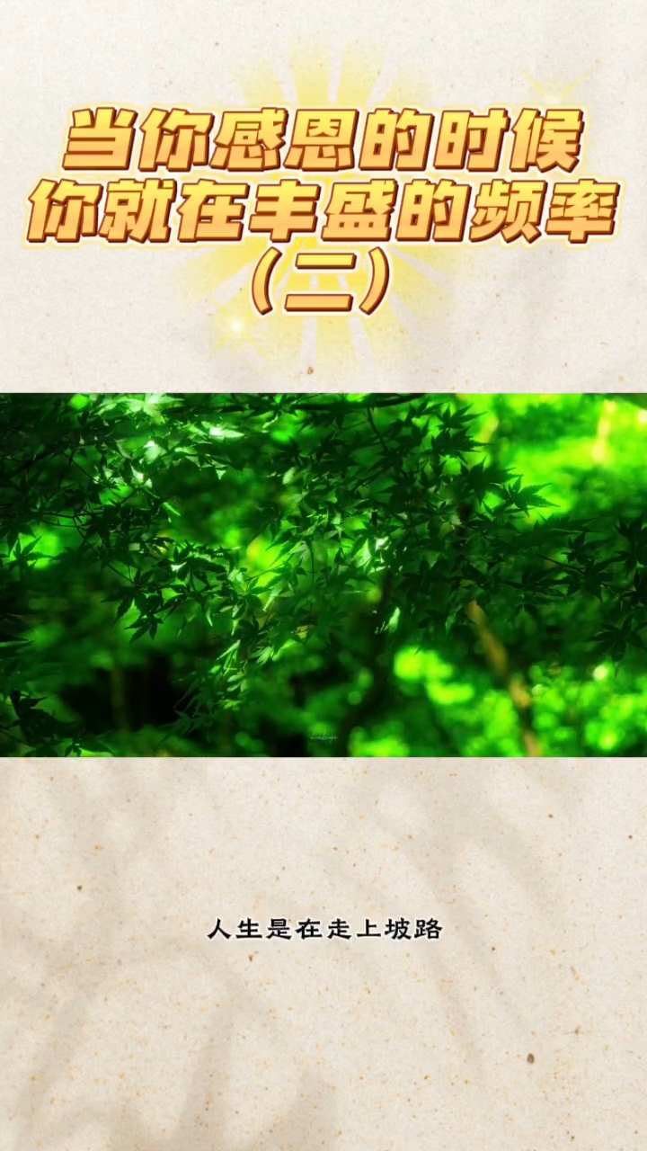 感恩是丰盛的顶点