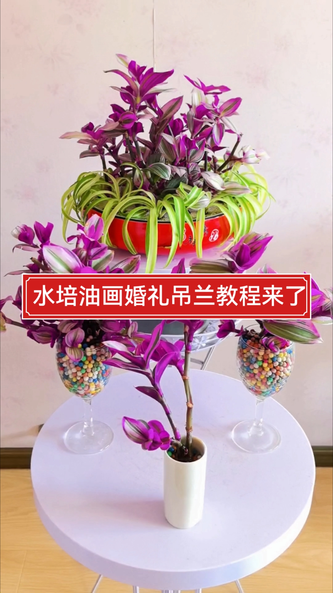 如何水培油画婚礼吊兰