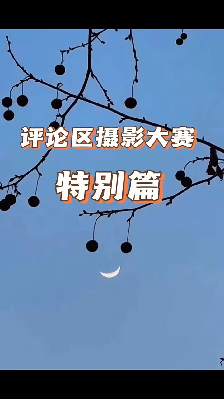 评论区摄影大赛之特别篇开启