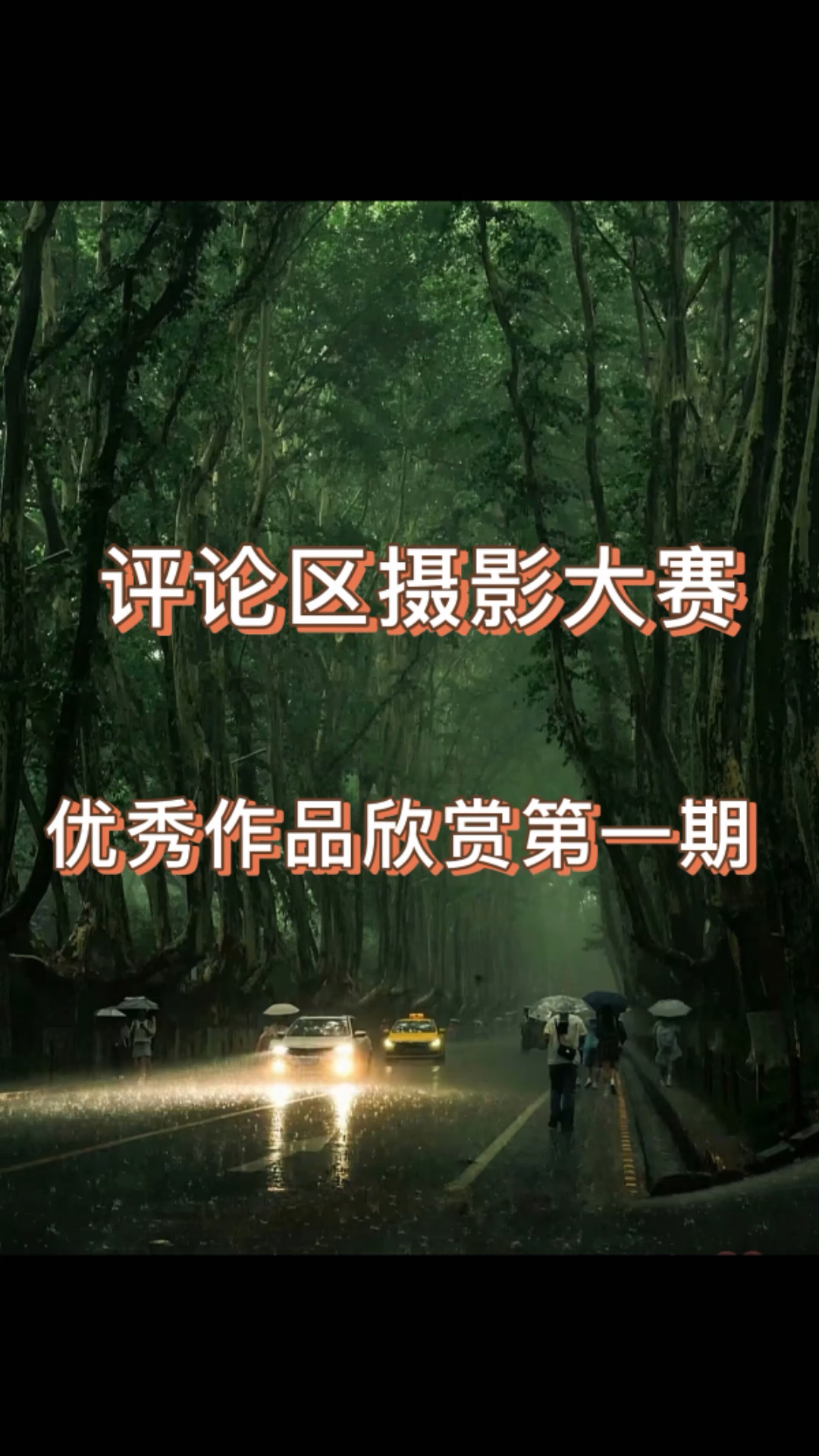 评论区摄影大赛优秀作品欣赏第一期