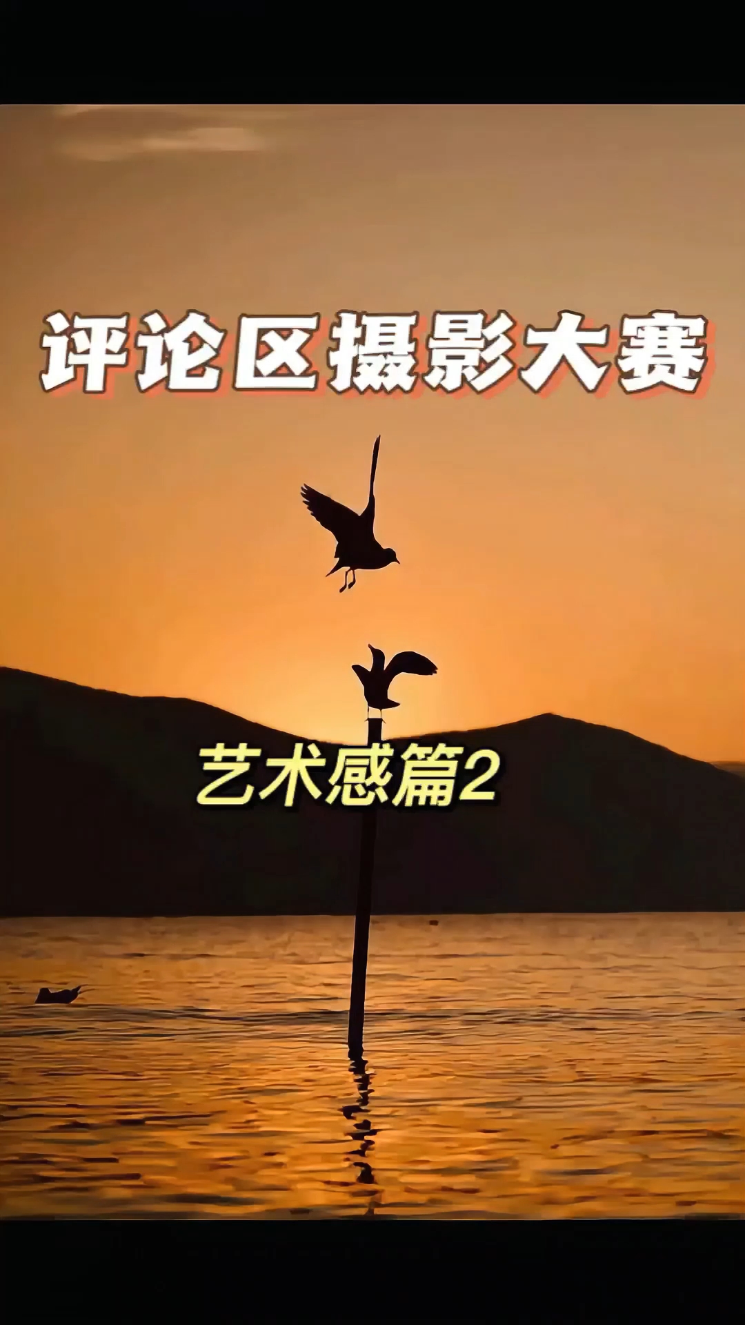 评论区摄影大赛之艺术感篇2开启