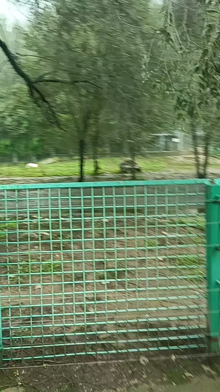 十一游秦岭野生动物园