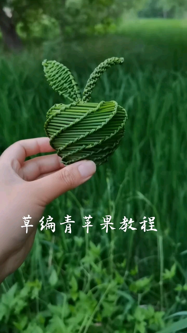 草编青苹果教程