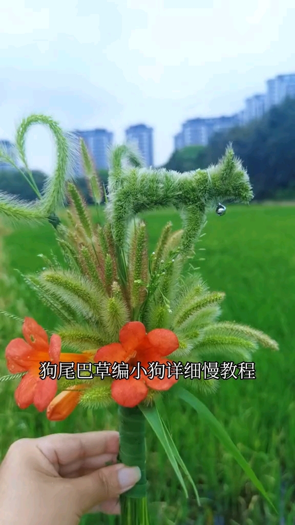 草编小狗慢教程