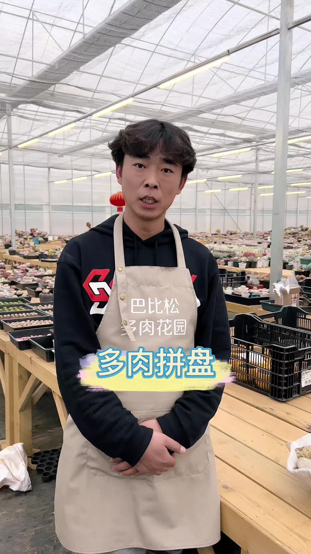 园艺养花人喜好之多肉植物拼盘