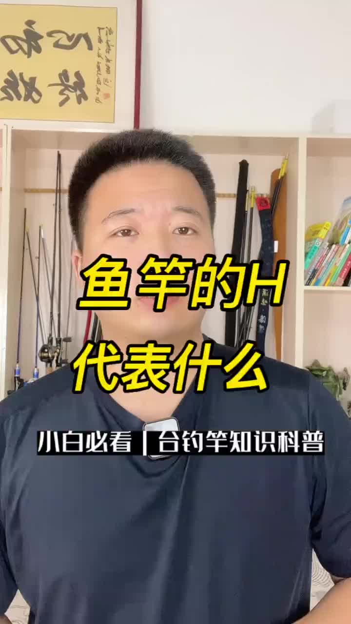 鱼竿的6H7H8H9H和10H都是什么意思
