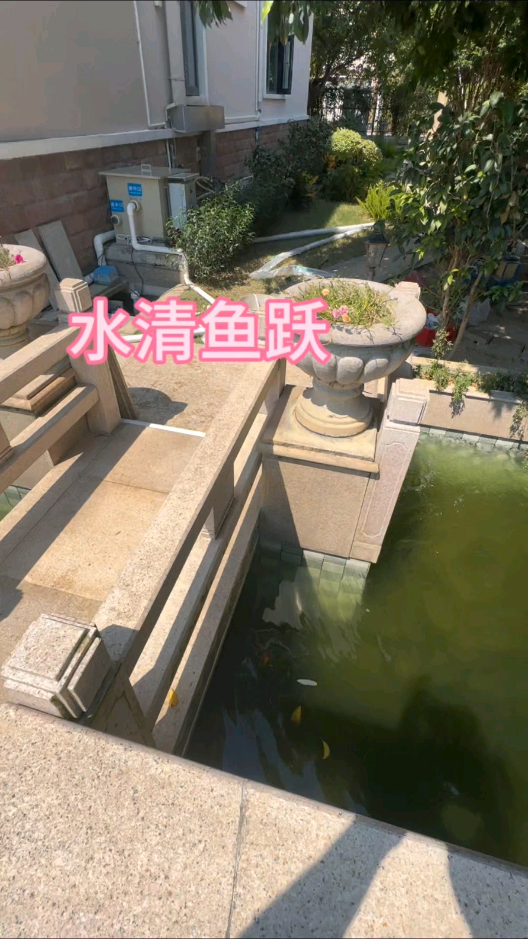 庭院鱼池过滤系统免清洗循环水免土建