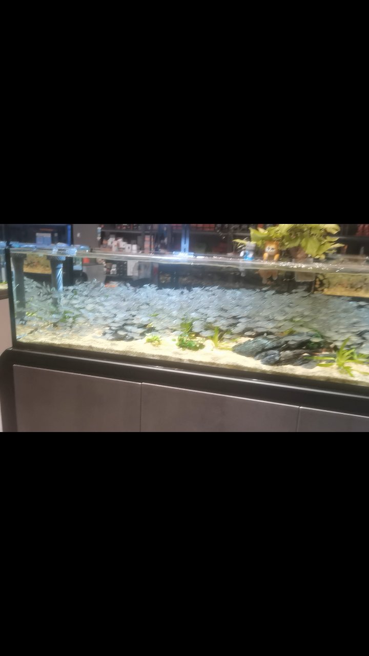 睿美溪流鱼缸