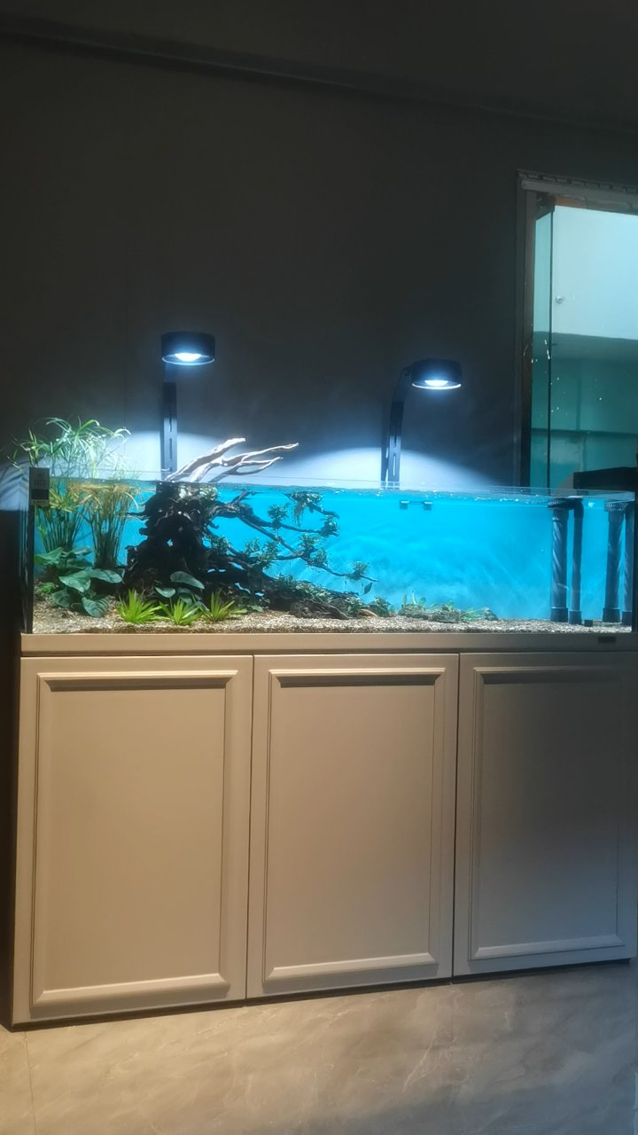 睿美溪流鱼缸,家居必备