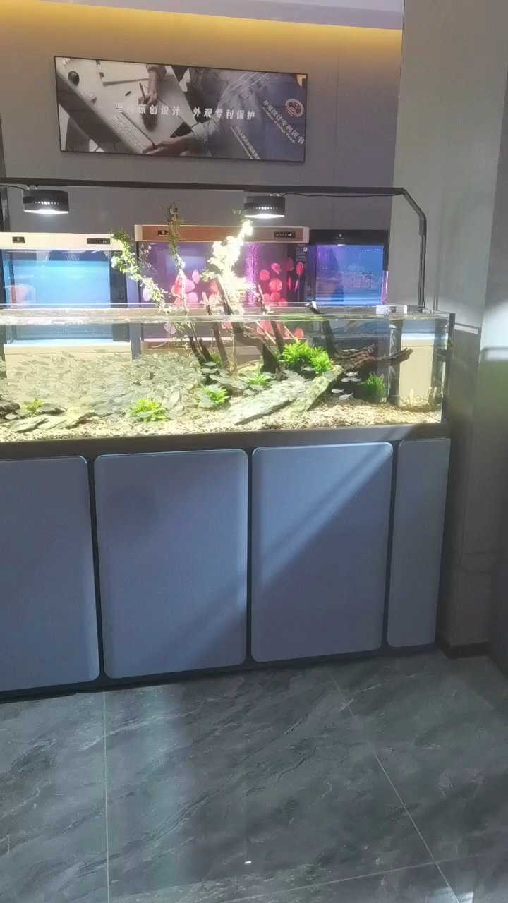 睿美心造溪流鱼缸,完美!
