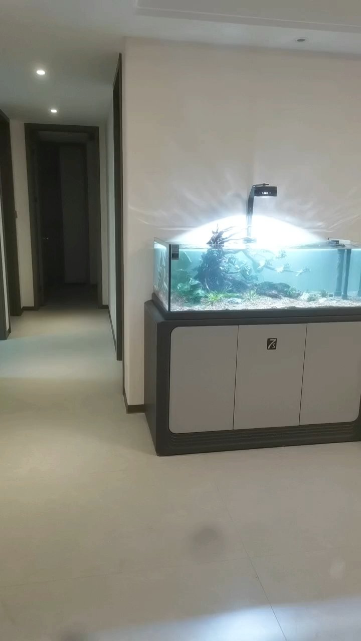 **揭秘未知惊喜,探索无限可能
