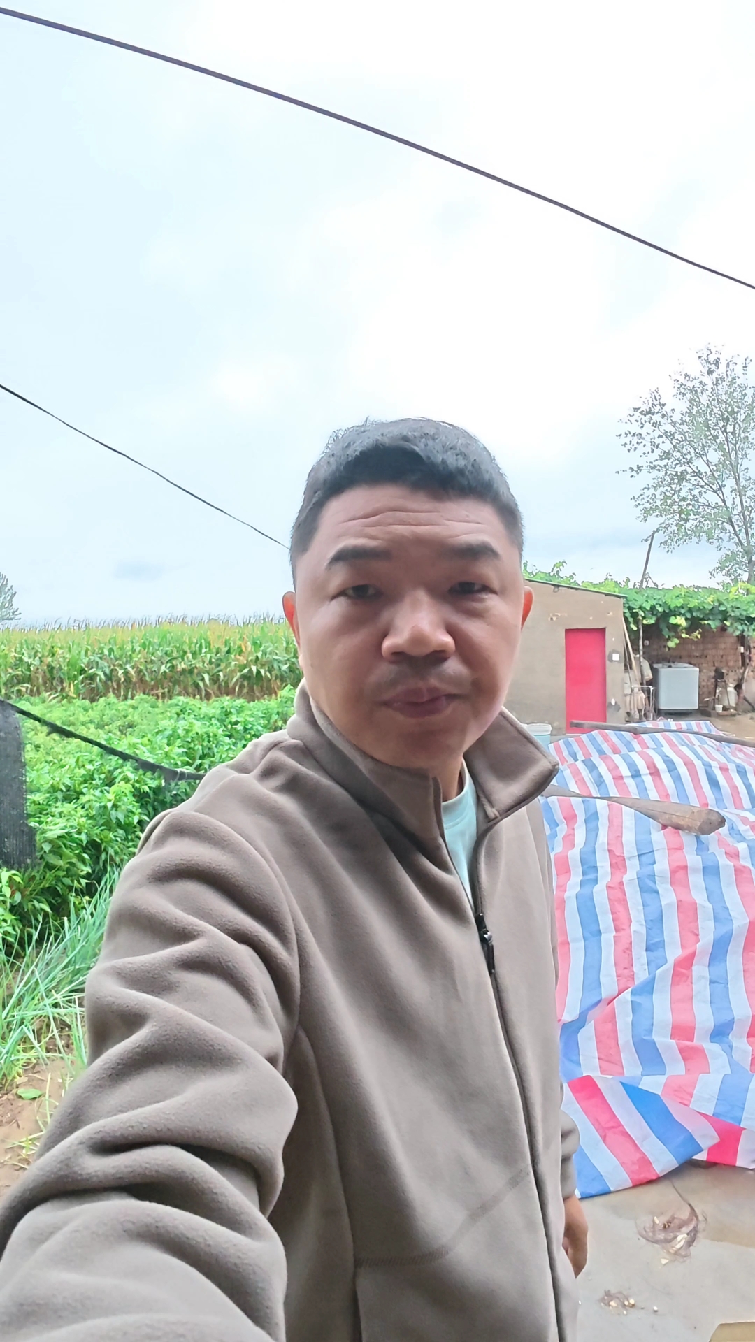 柴鸡蛋价格创新高