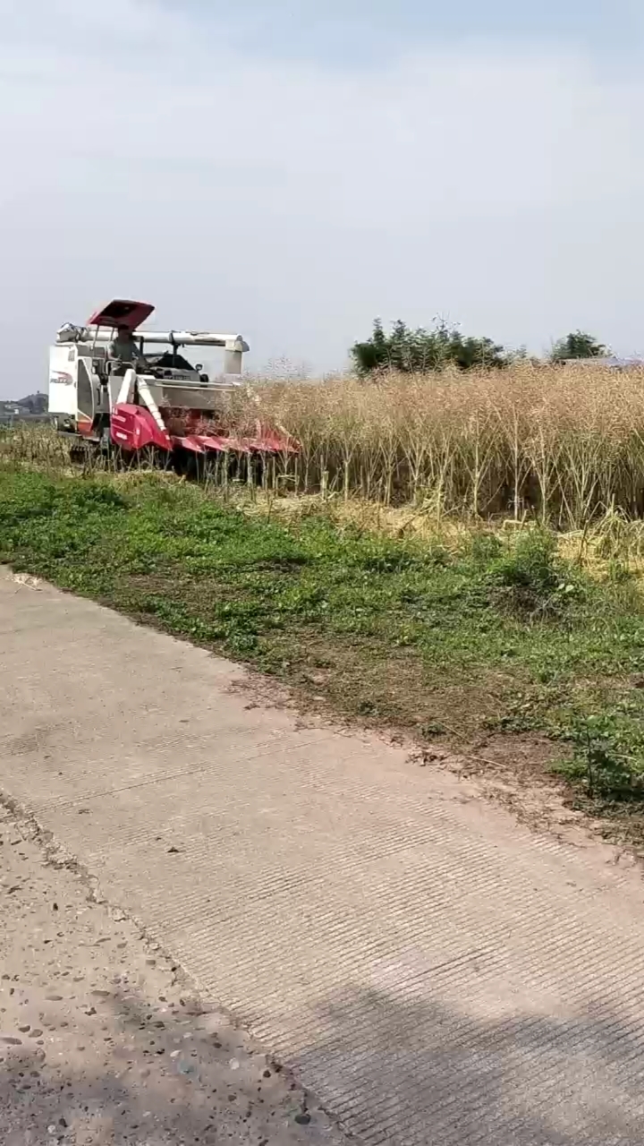 德农杂粮籽粒收割割台,收割油菜用