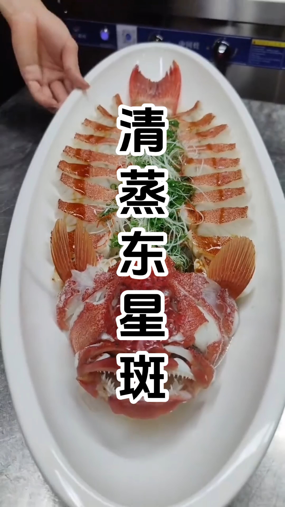 学厨网 清蒸东星斑粤菜制作配方和配料有哪些 在哪里学习比较好