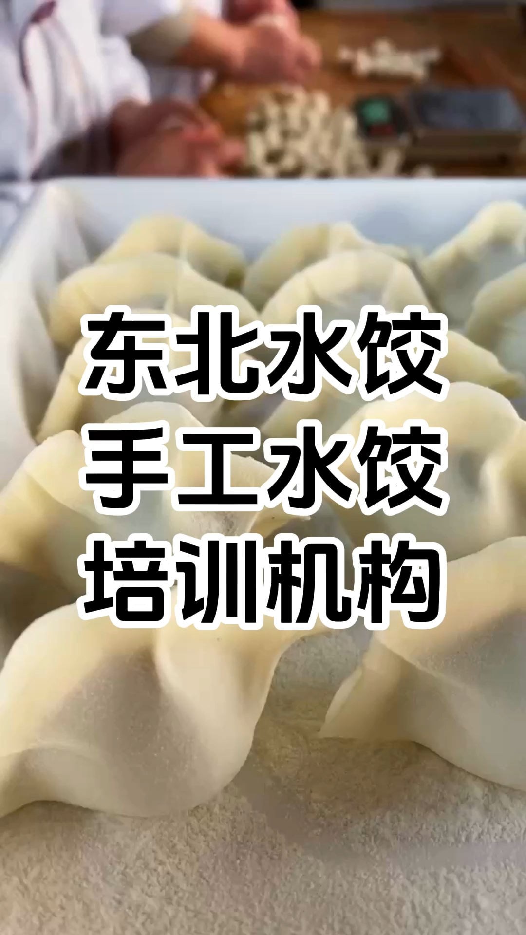手工水饺哪里培训机构哪家好 手工饺子技术培训多少钱 学厨网