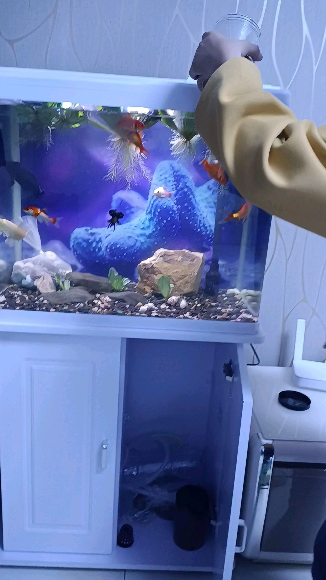 锦鲤空气缸-溪流缸造景