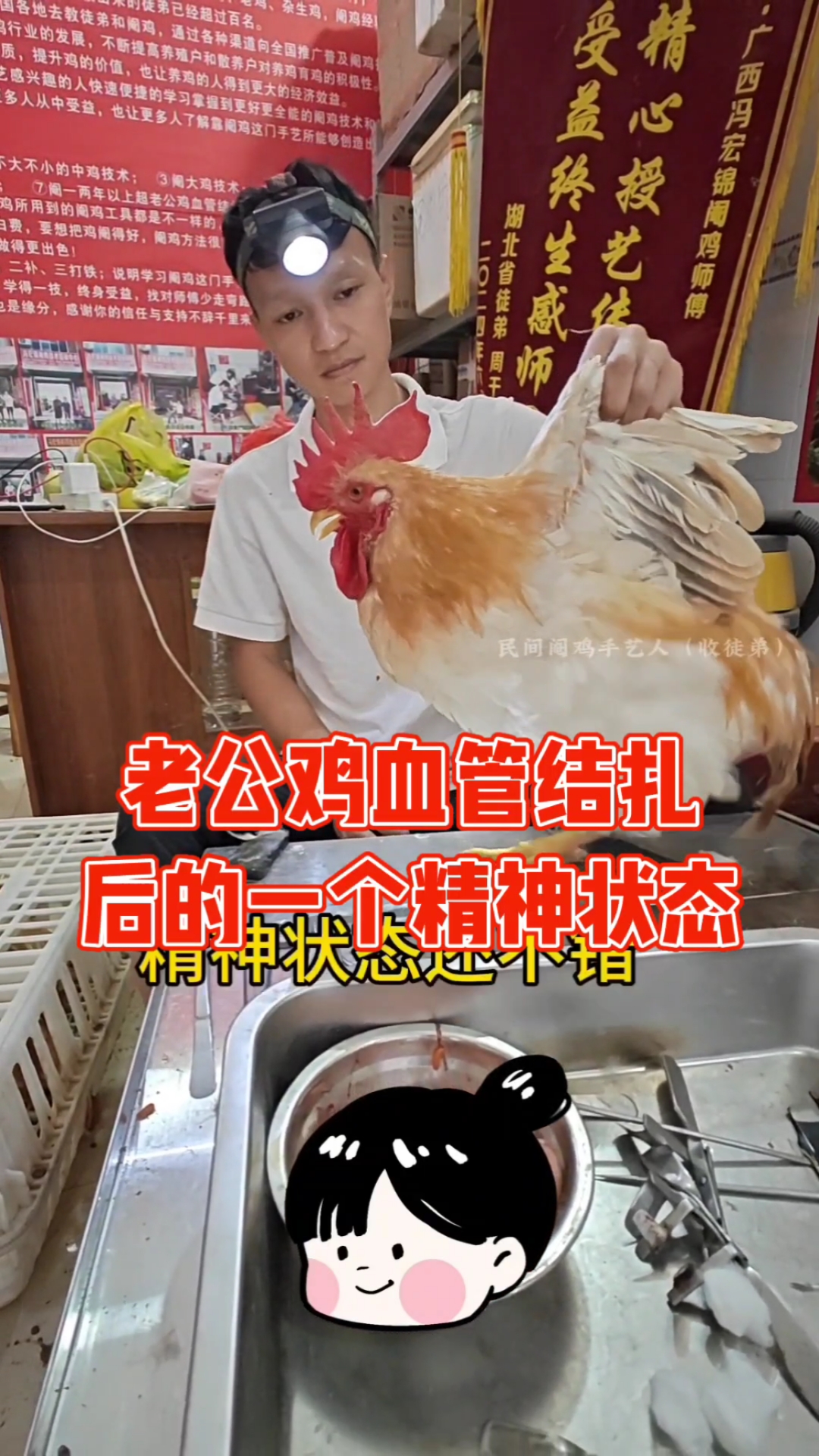 想知道老公鸡血管结扎后是一个怎样的精神状态吗?  #大公鸡 