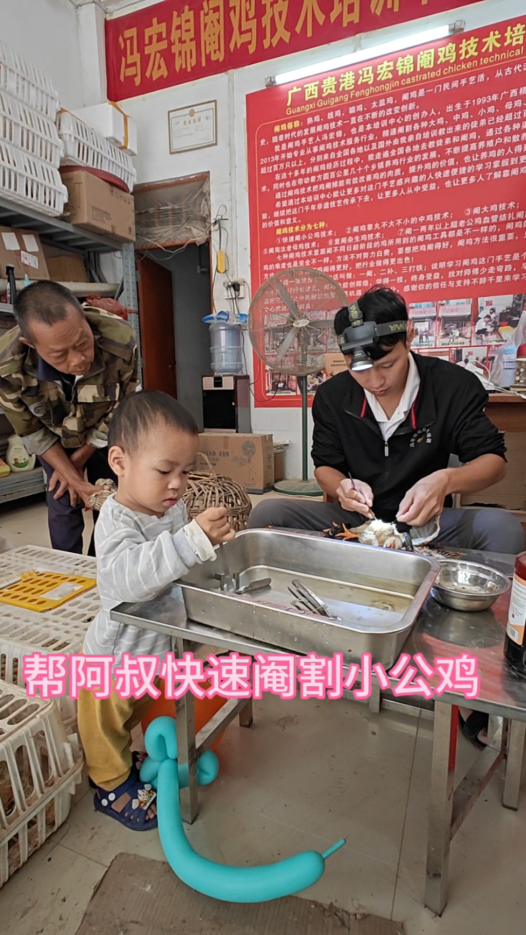 补发昨天拍的视频#赶集 #民间手艺人 #阉鸡
