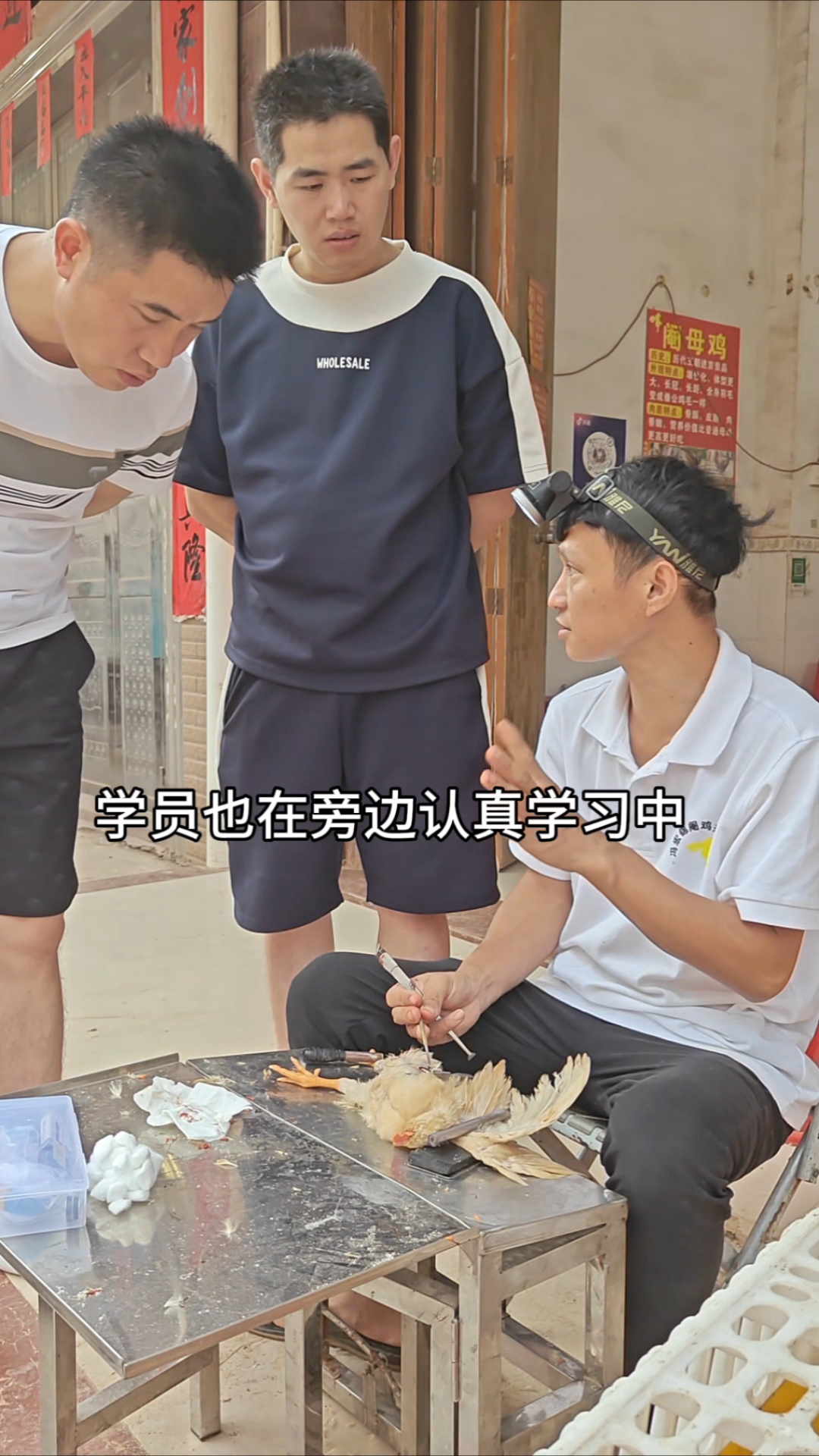 感受民间阉鸡手艺的魅力,一起传承