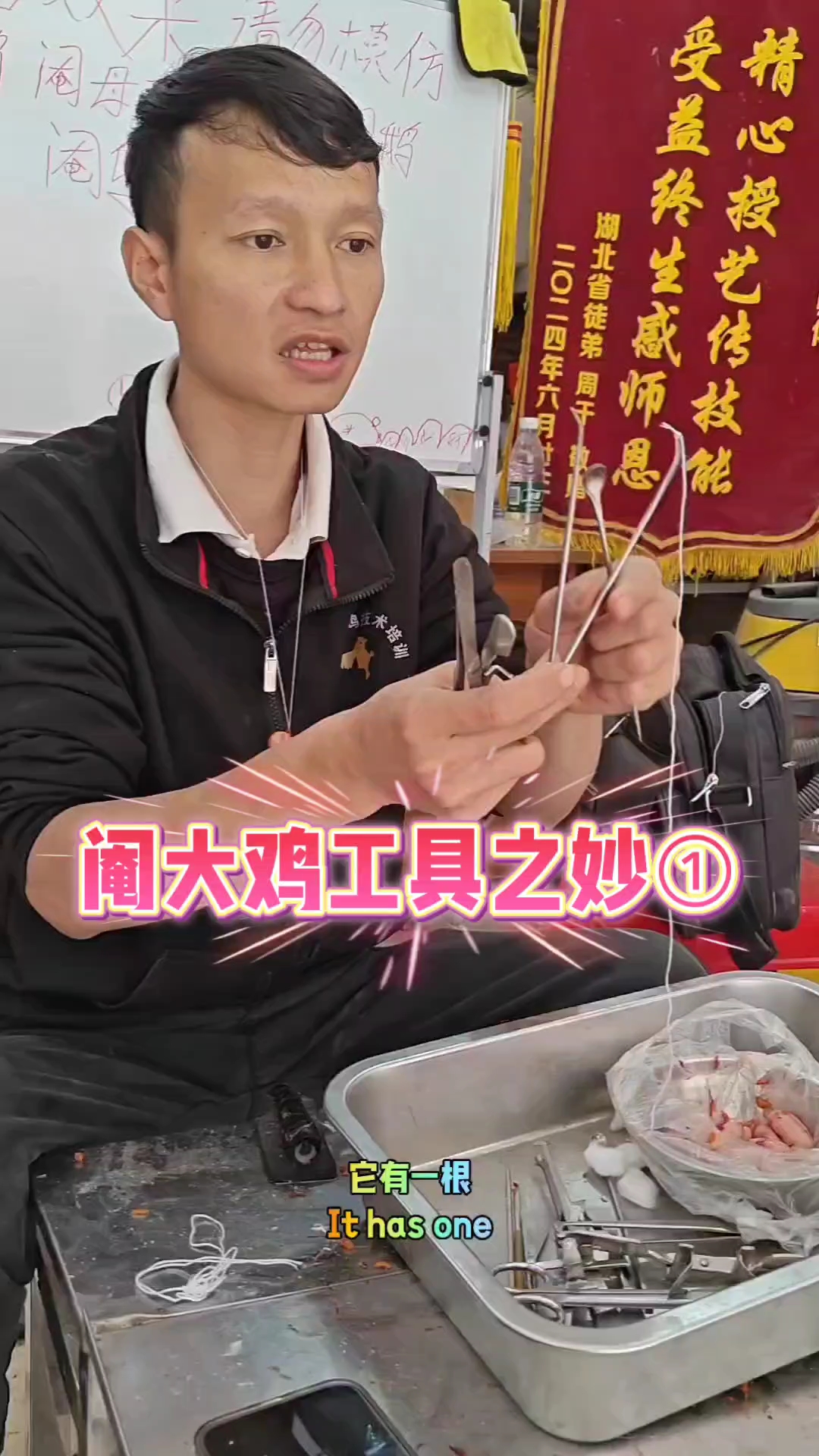 工具之妙,存乎一心,阉大鸡工具讲解,技艺传承。  #农业知识