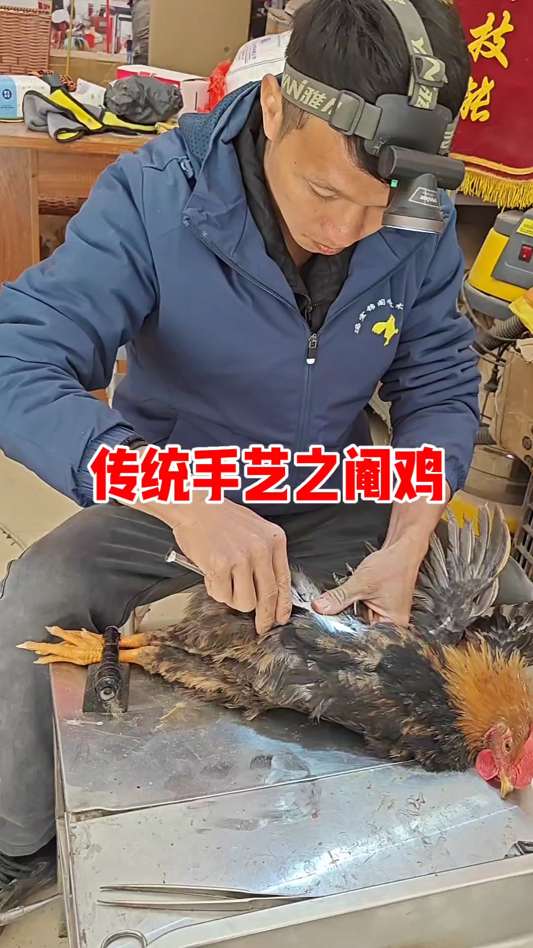 今天给大家展示一下传统的“阉鸡”手艺!厉害了我的哥,佩服 
