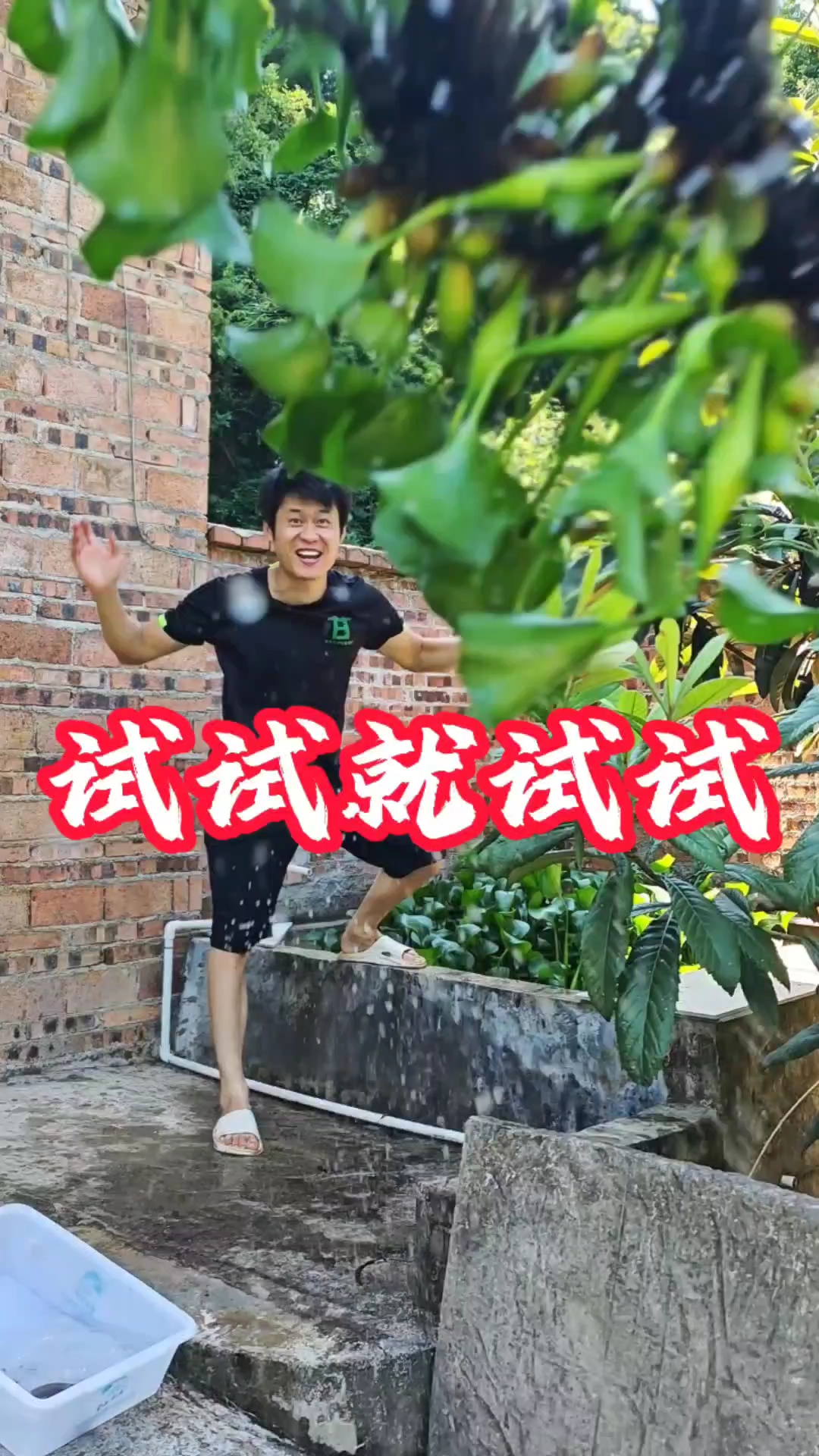 龟缸造景生态缸