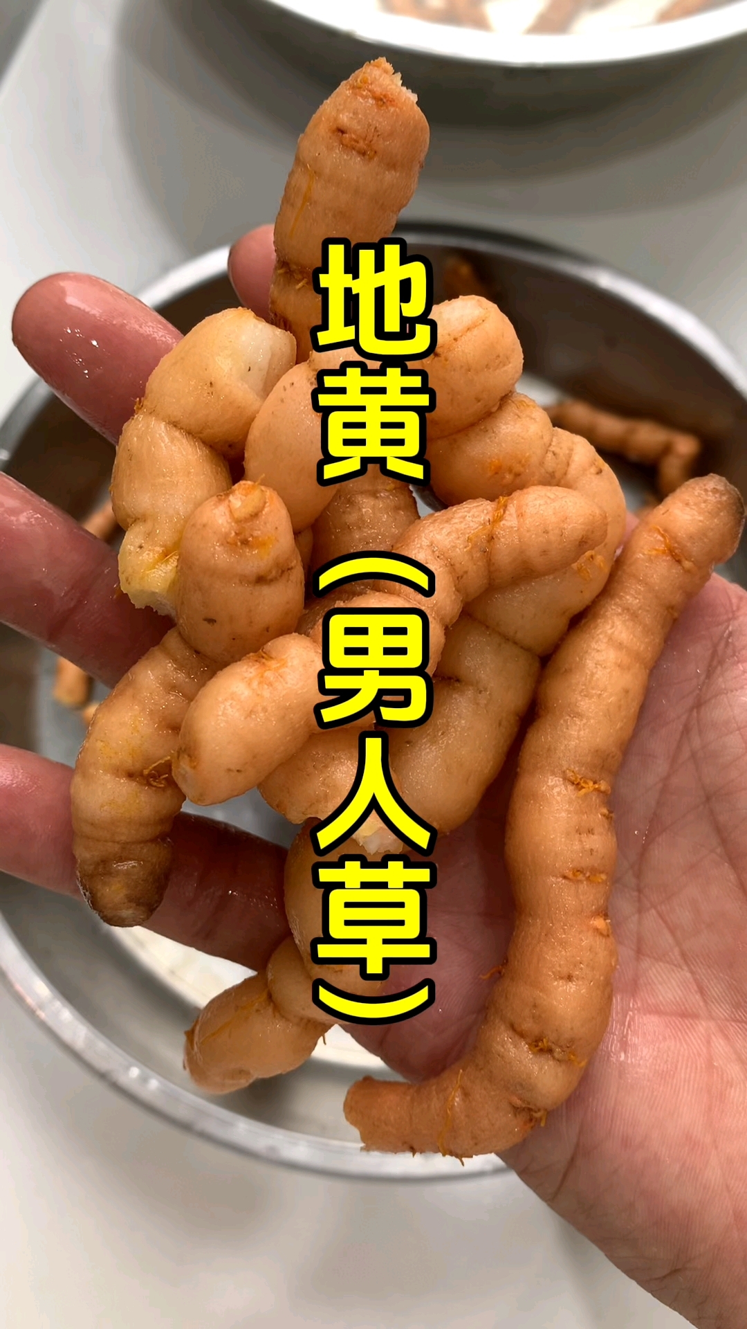 地黄又叫男人草,你知道怎么用吗