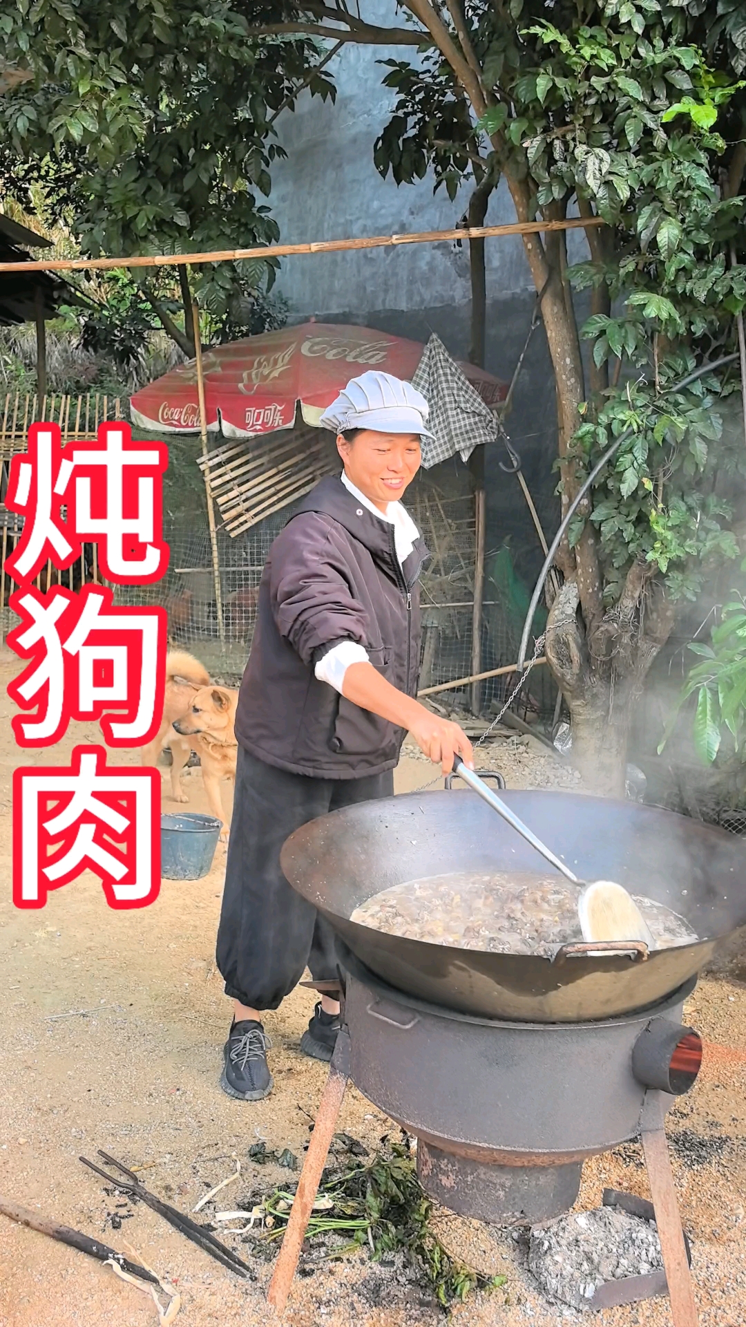 又到了炖狗肉的季节了