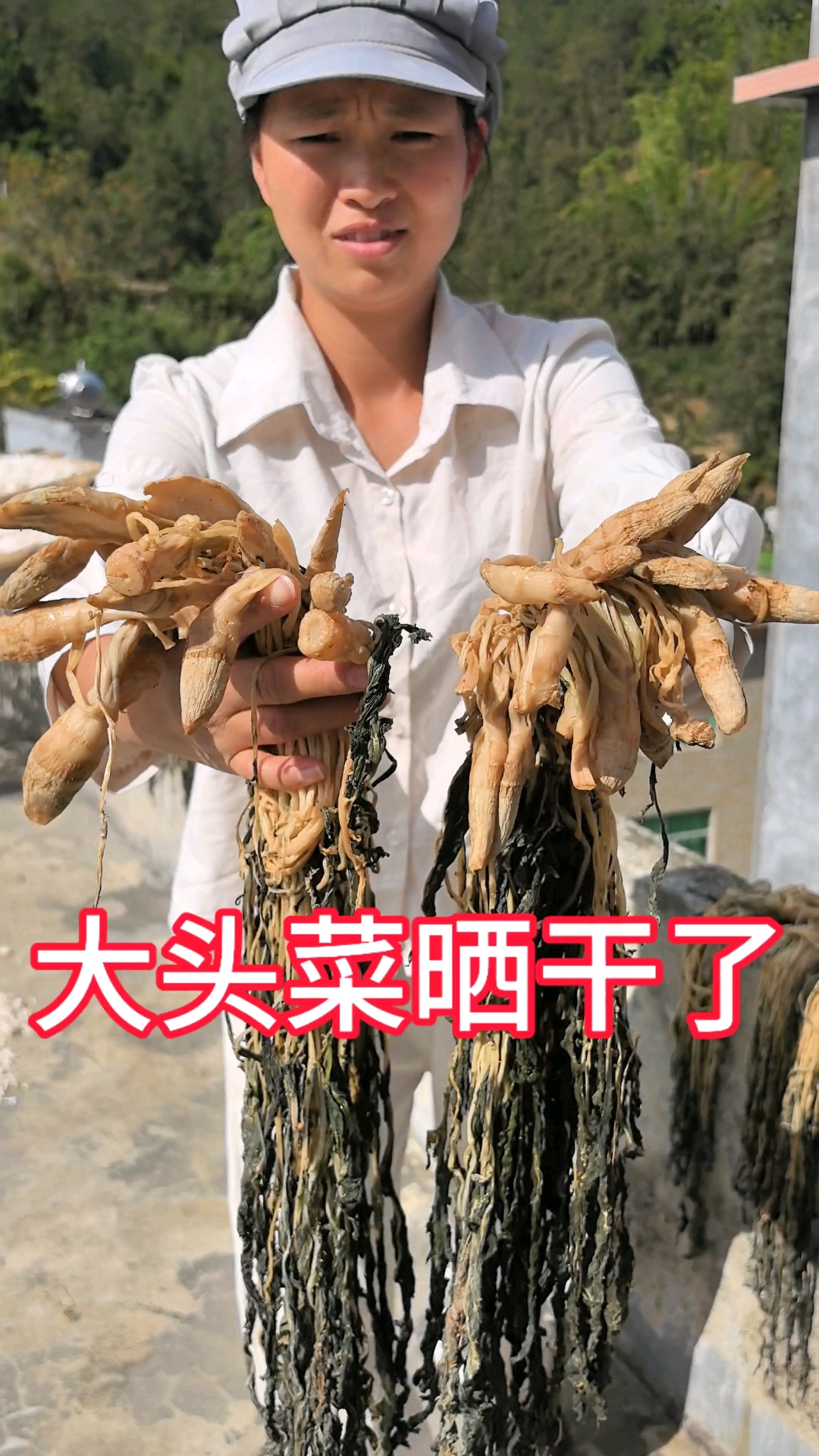 大头菜