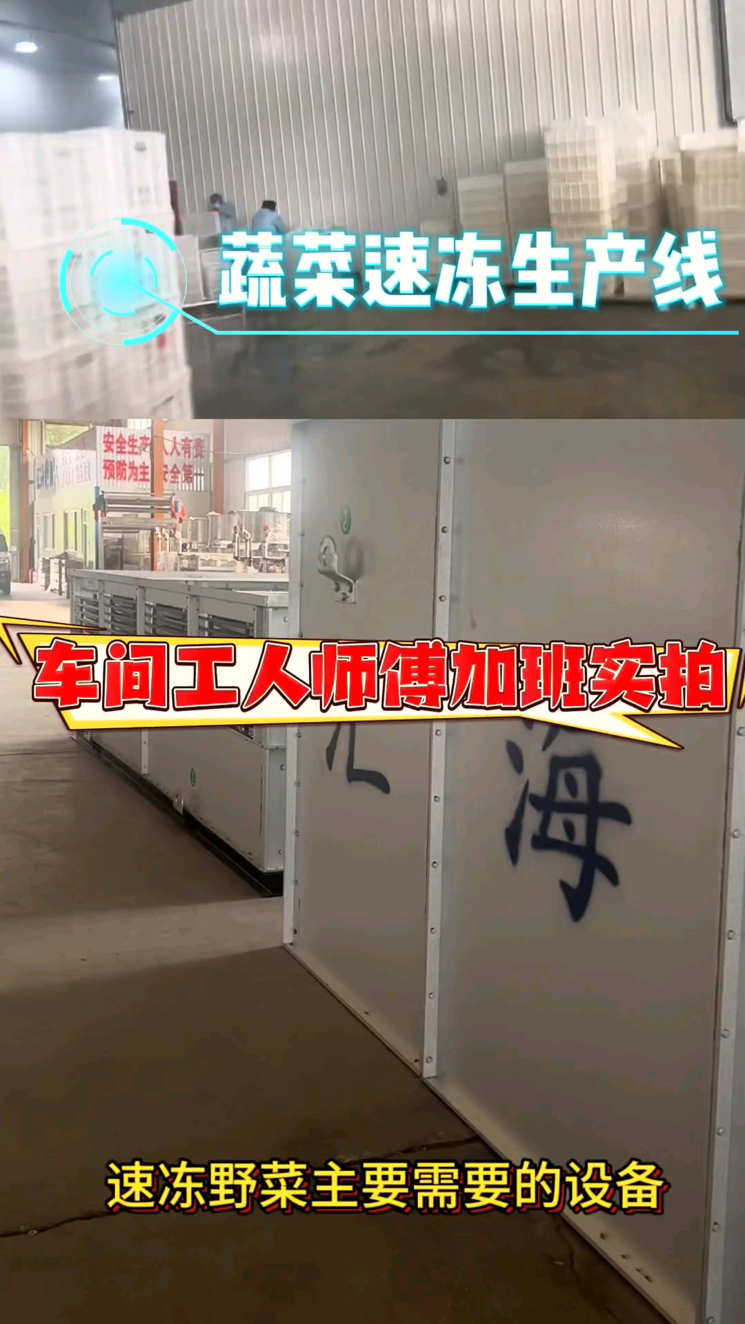 你知道车间工人师傅正在生产的蔬菜速冻线有那么设备?速冻机厂家