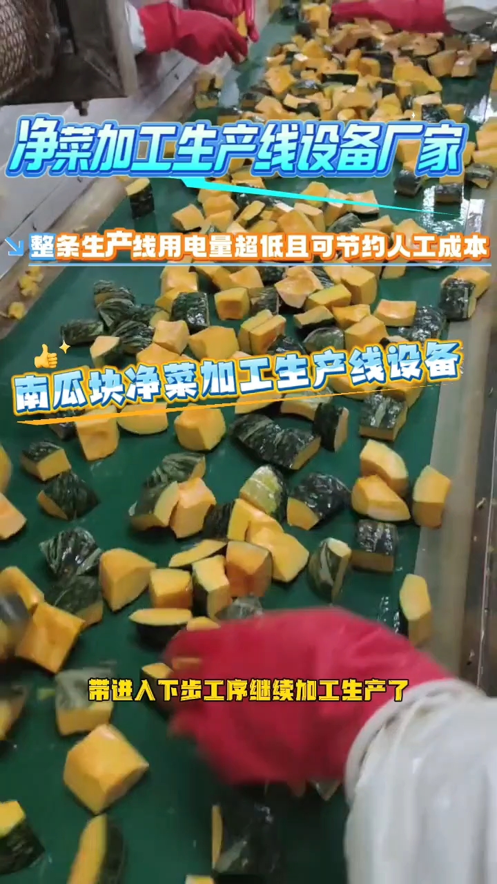 这条就是南瓜块净菜加工生产线需要用到的设备净菜加工生产线设备
