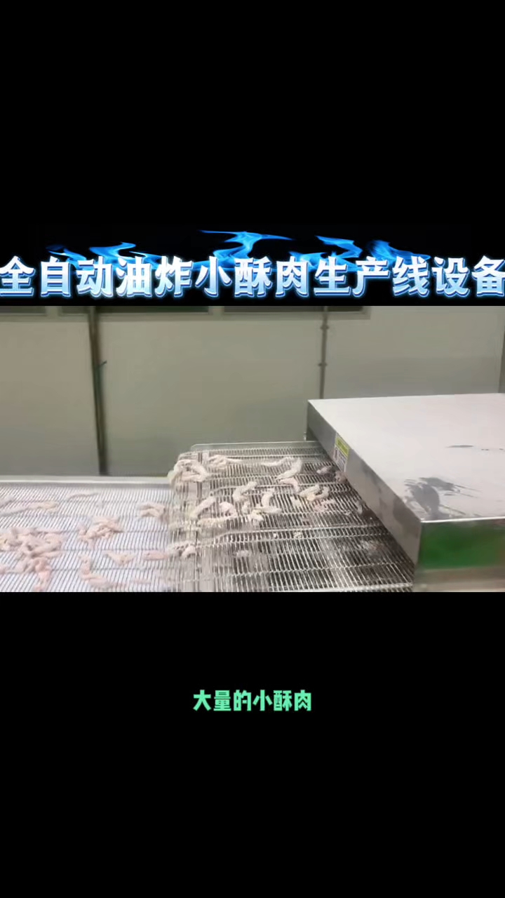 这条就是小酥肉全自动油炸生产线设备小酥肉全自动油炸设备厂家