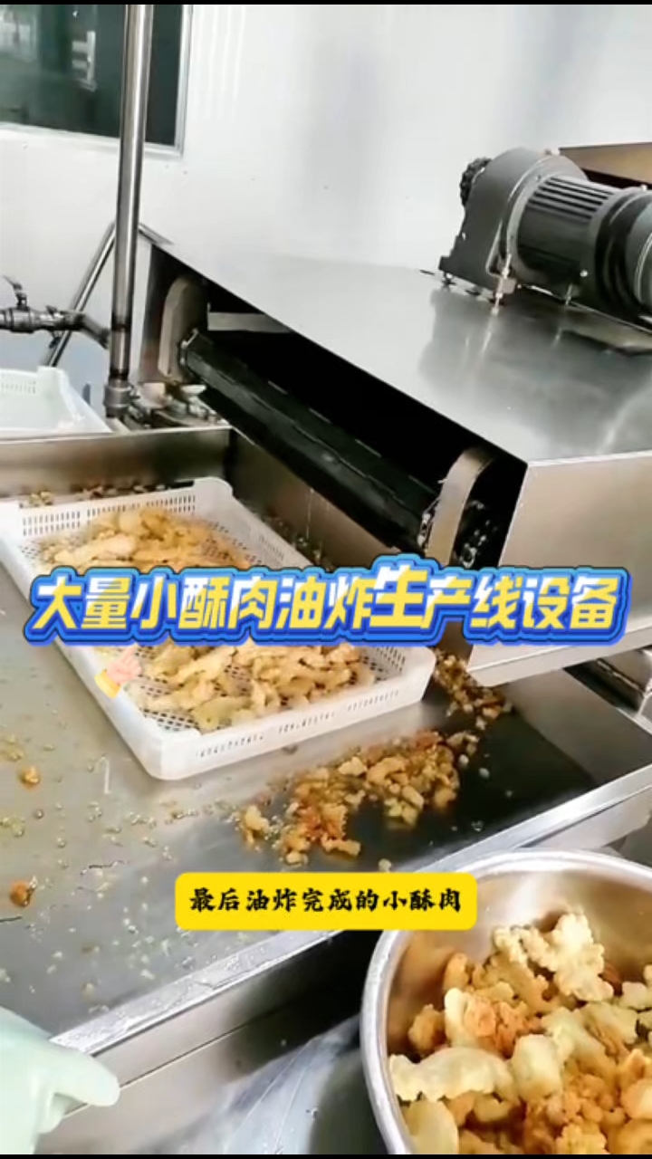 这条就是大量小酥肉全自动油炸生产线设备全自动油炸设备厂家