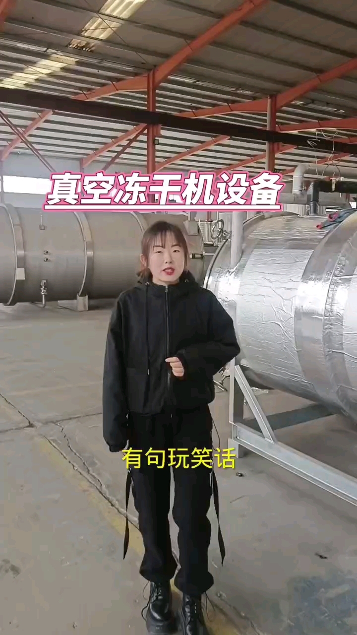 真空冻干鸡蛋饼设备