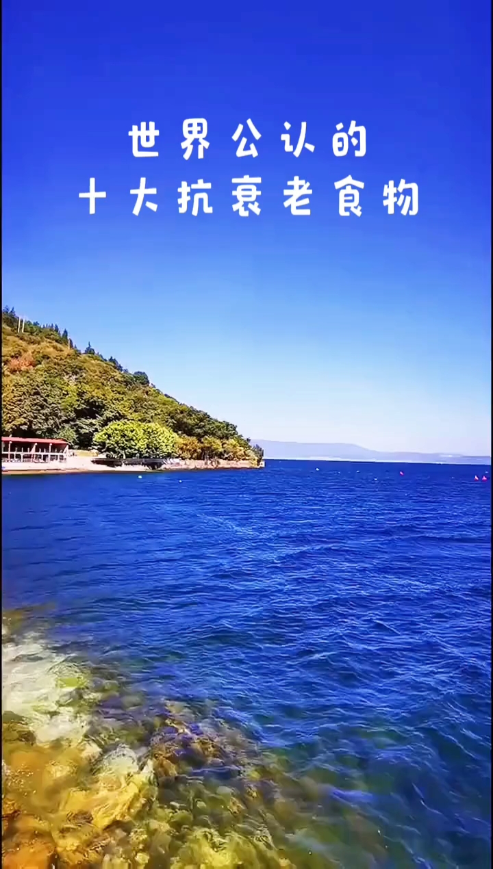 世界公认的十大抗衰老食物