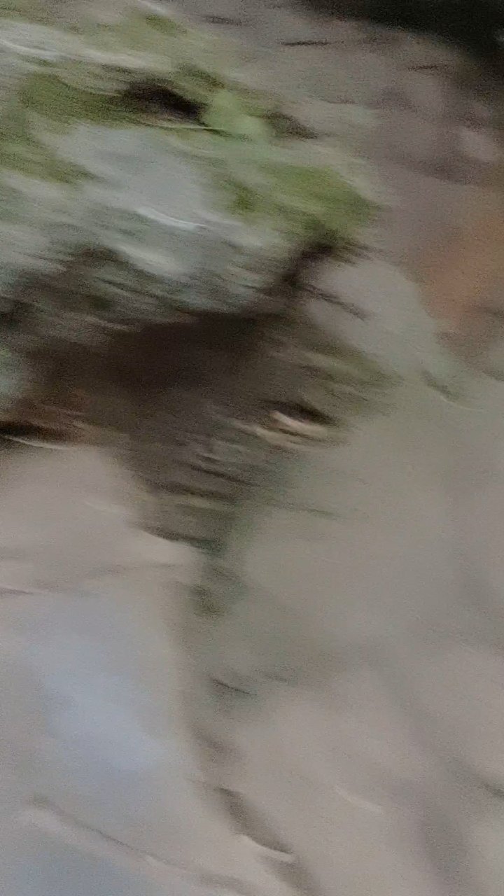 贵州旅游景点。