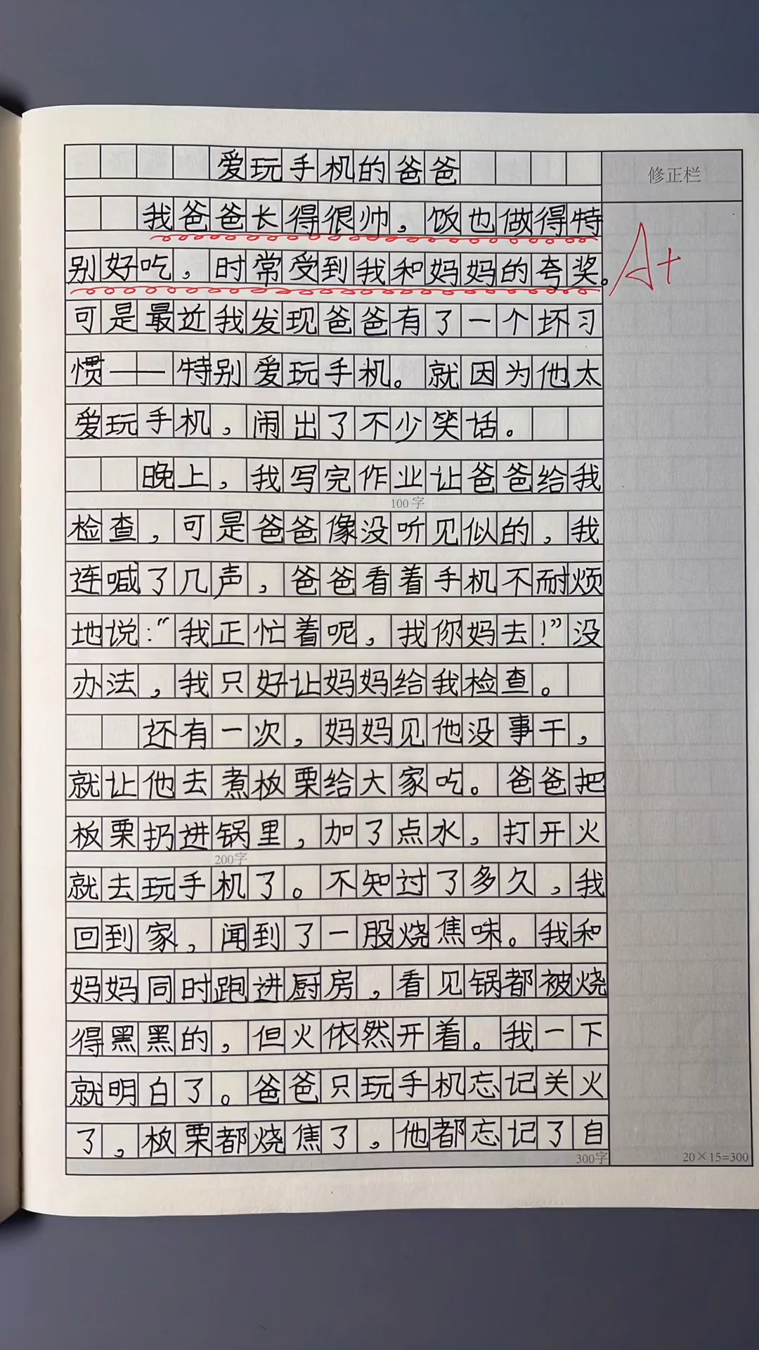 三年级作文,描写人物
