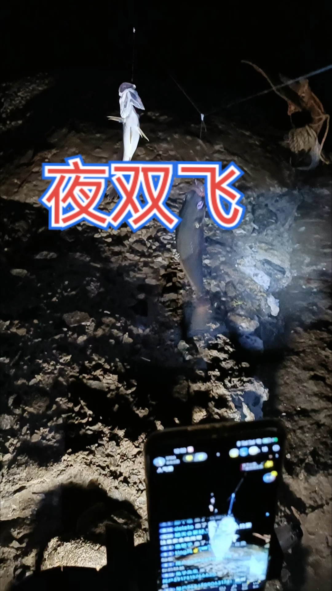 夜钓就是爽