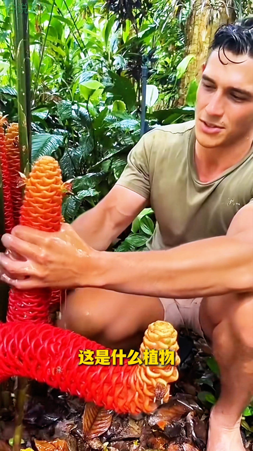 分享15种另类的植物,只能感叹大自然太神奇