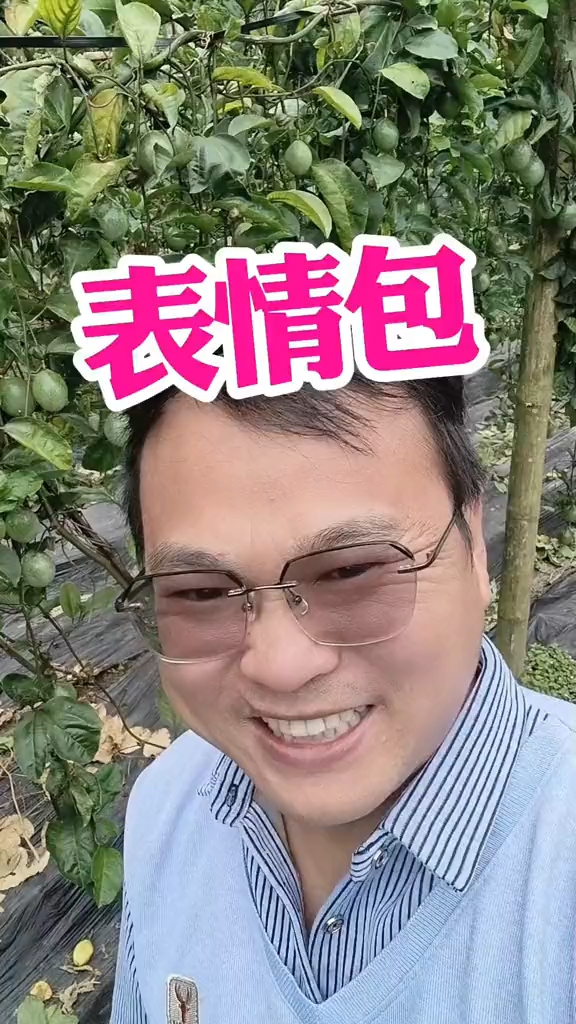爆笑云南方言表情包,用普通话念出来更搞笑,哈哈哈