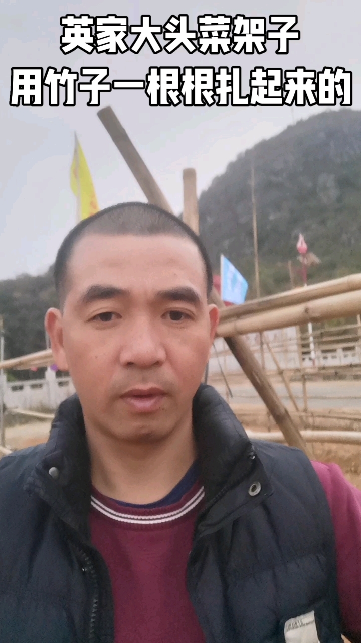 广西贺州钟山英家大头菜收获早,这个时候竹架暂时用不上了