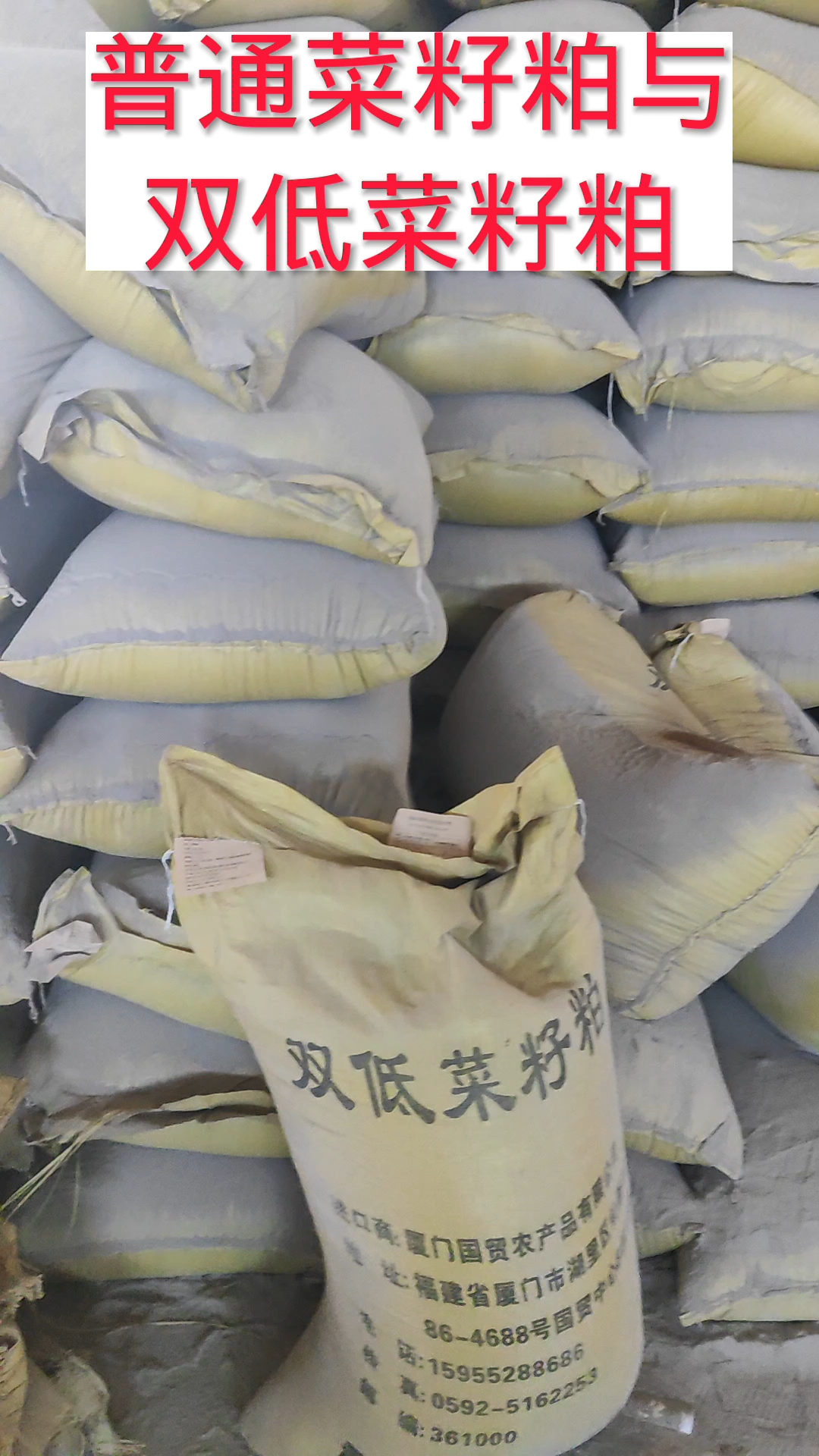 普通菜籽粕和双低菜籽粕用法用量