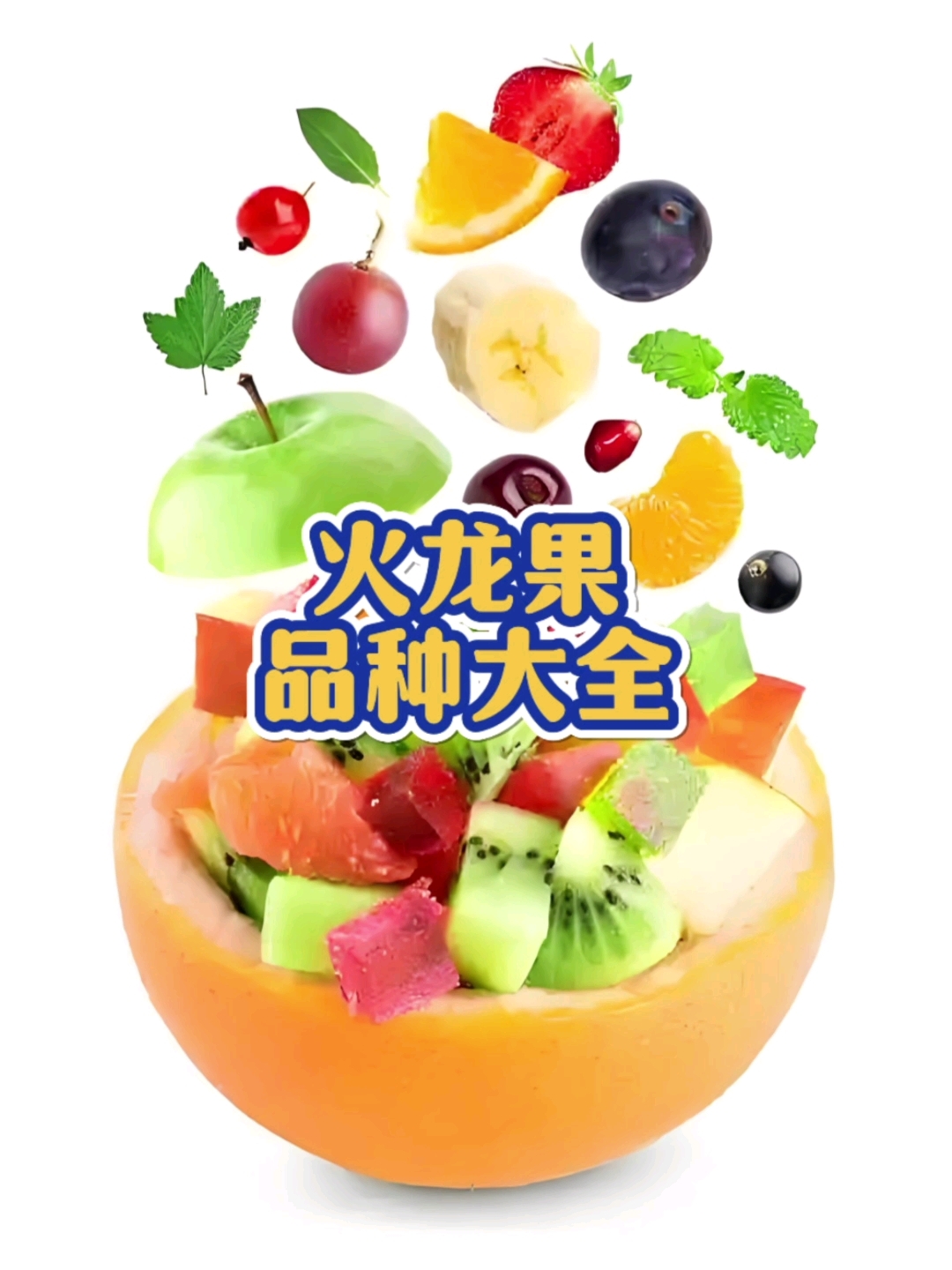 火龙果品种大全!