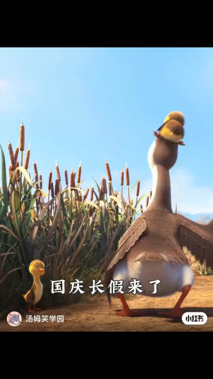 分享视频