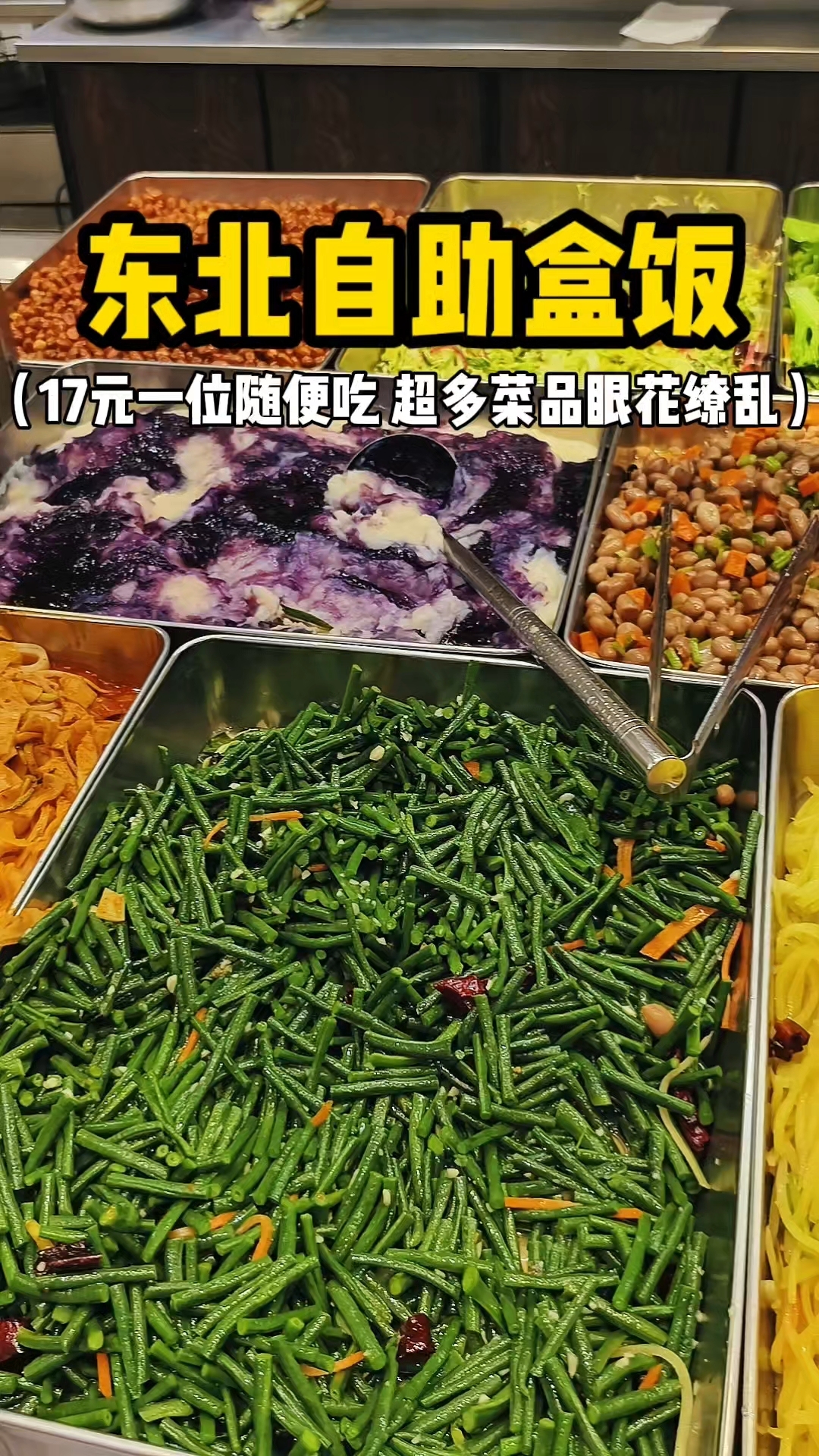 东北自选盒饭 17元一位随便吃 超多菜系你们感觉值不值
